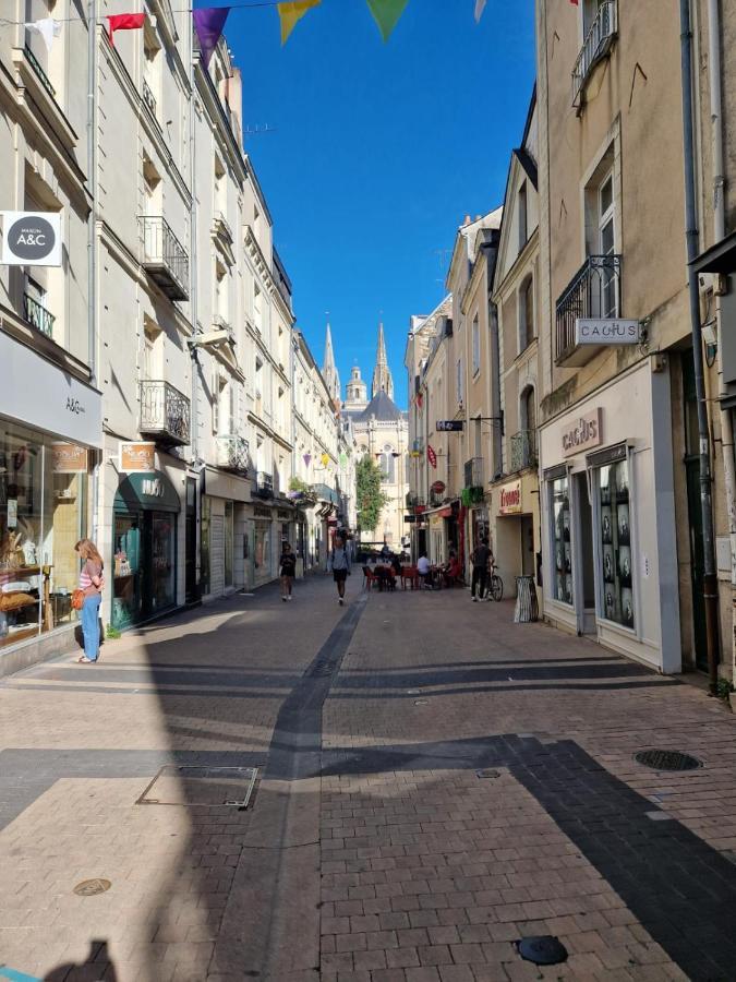 Le Nica Apartman Trélazé Kültér fotó